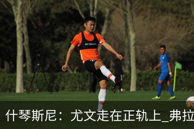 什琴斯尼：尤文走在正轨上 弗拉霍维奇非常出色