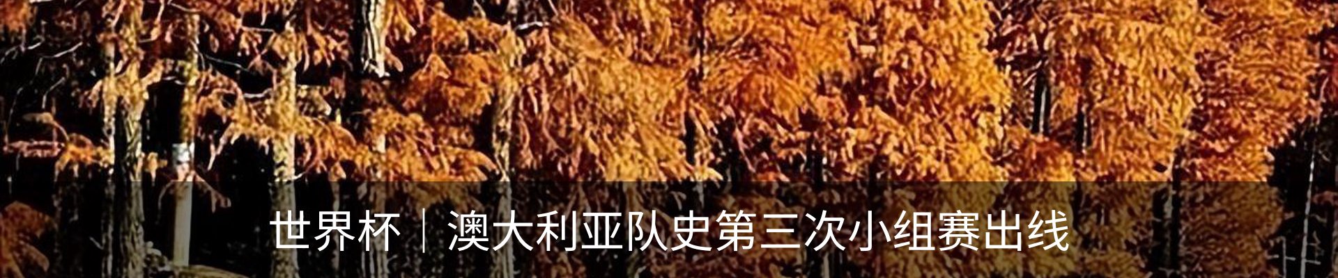 行业资讯