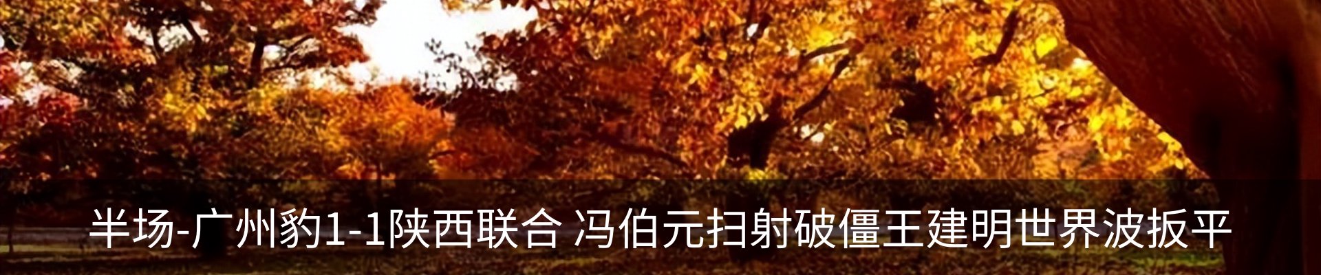 行业资讯