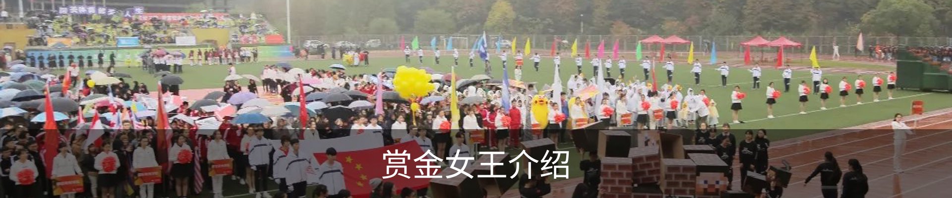 赏金女王介绍